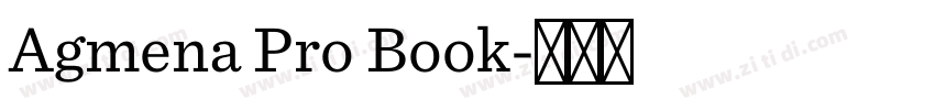 Agmena Pro Book字体转换